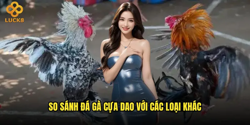 Đá gà cựa dao Luck8 có tỷ lệ kèo hấp dẫn hơn cựa sắt? 2 So sánh đá gà cựa dao với các loại khác