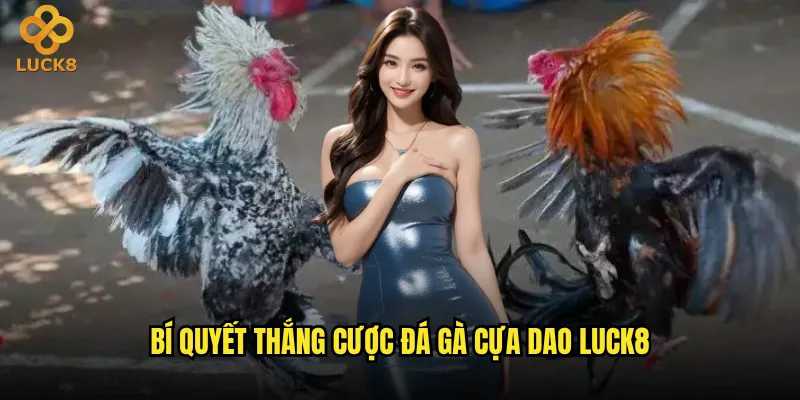 Đá gà cựa dao Luck8 có tỷ lệ kèo hấp dẫn hơn cựa sắt? 3 Bí quyết thắng cược đá gà cựa dao Luck8