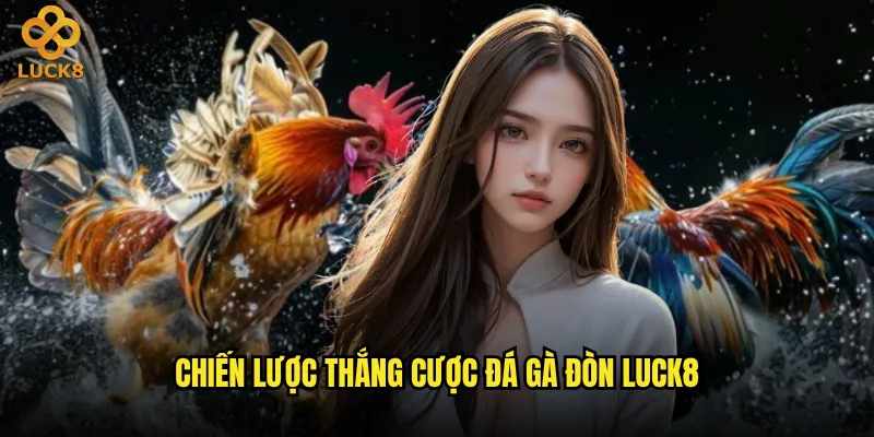 Đá gà đòn tại Luck8 có thực sự khó dự đoán kết quả? 3 Chiến lược thắng cược đá gà đòn Luck8