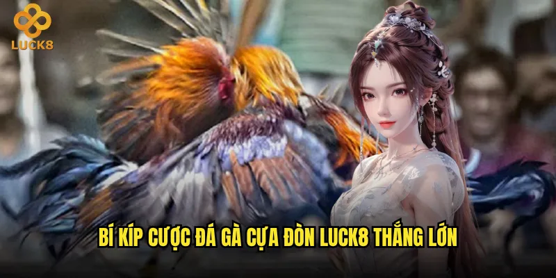 Đá gà cựa đòn Luck8 có ưu thế gì so với đá gà thông thường? 3 Bí kíp cược đá gà cựa đòn Luck8 thắng lớn