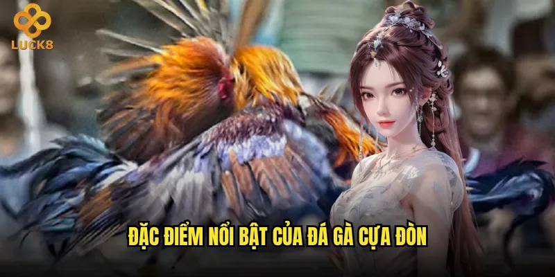 Đá gà cựa đòn Luck8 có ưu thế gì so với đá gà thông thường? 2 Đặc điểm nổi bật của đá gà cựa đòn